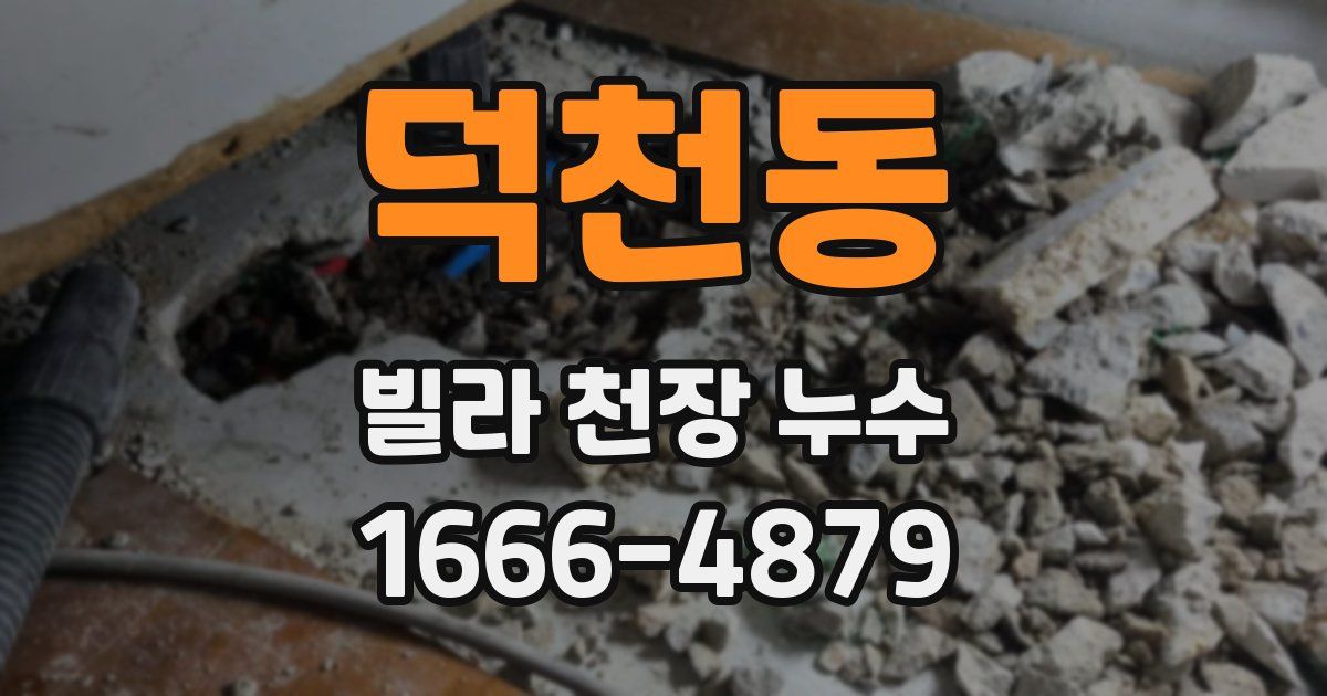 덕천동 빌라 천장 누수