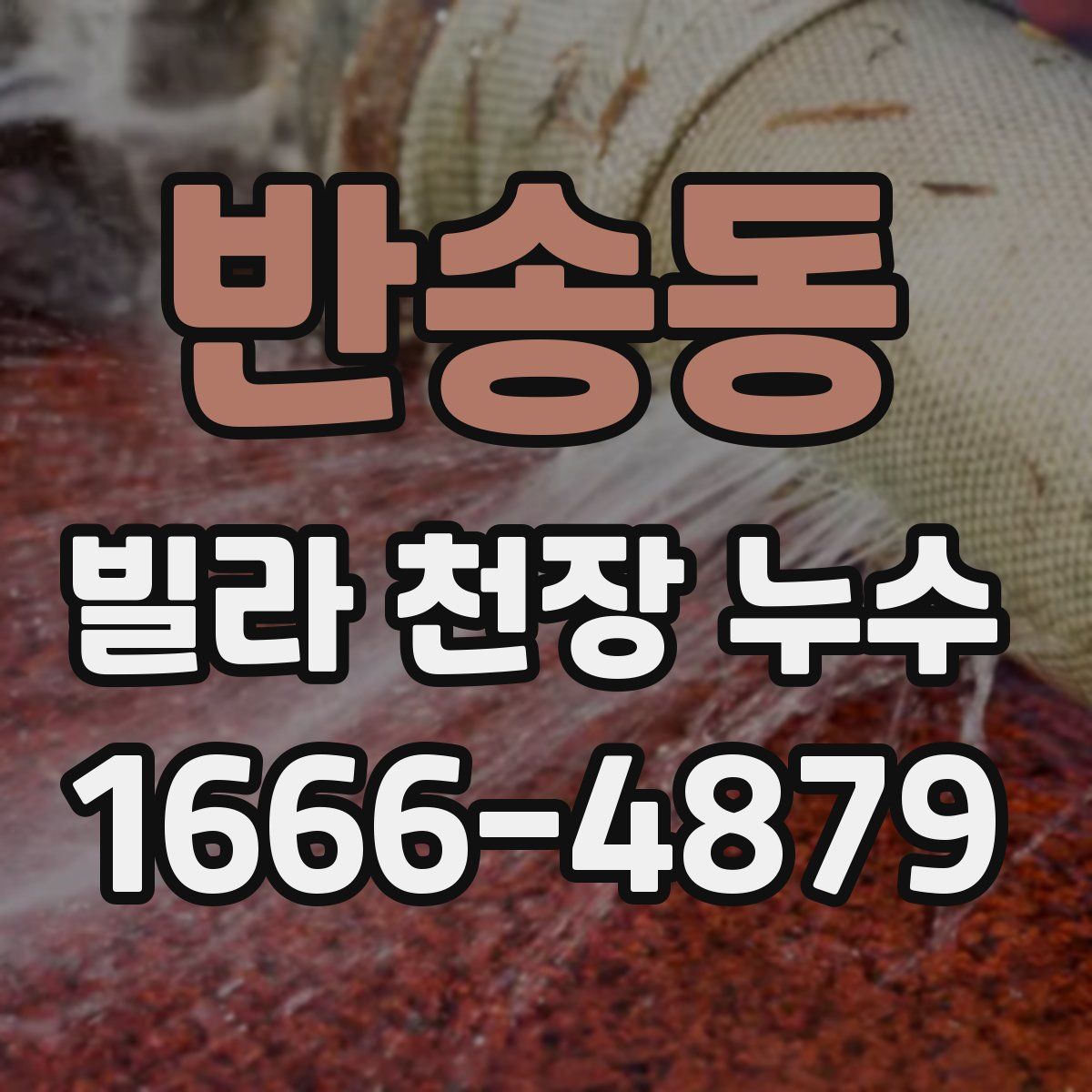 반송동 빌라 천장 누수