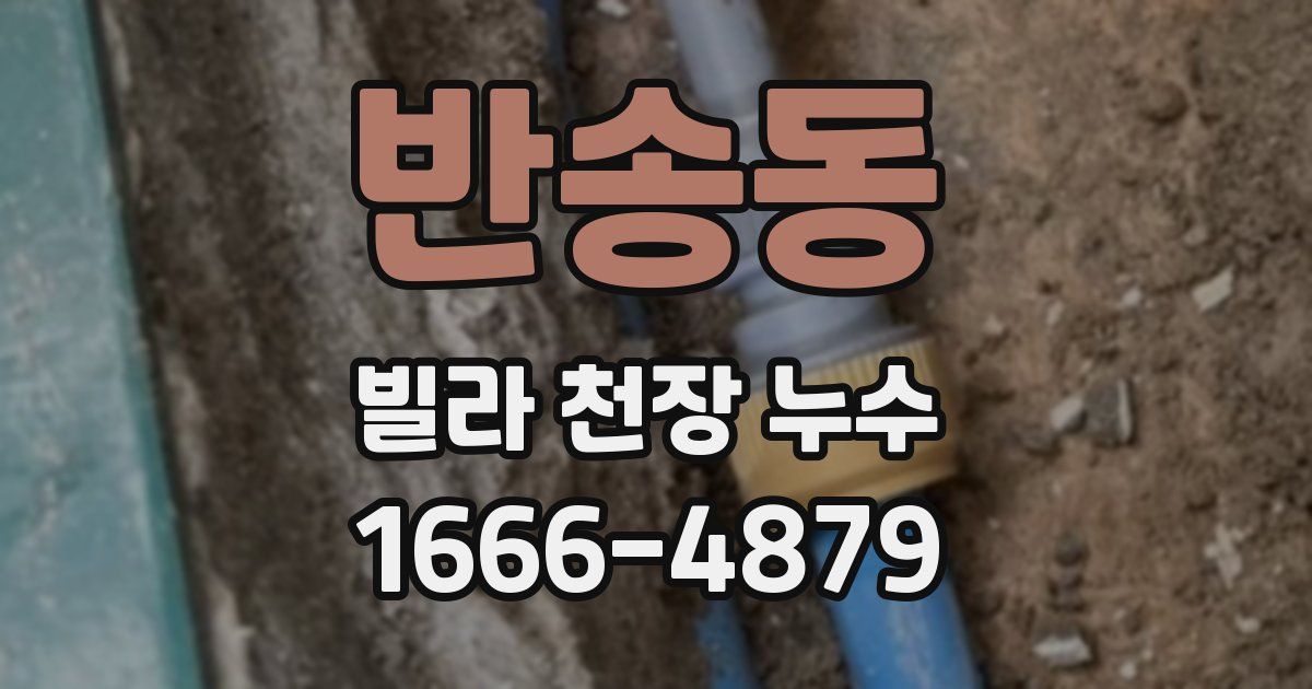 반송동 빌라 천장 누수
