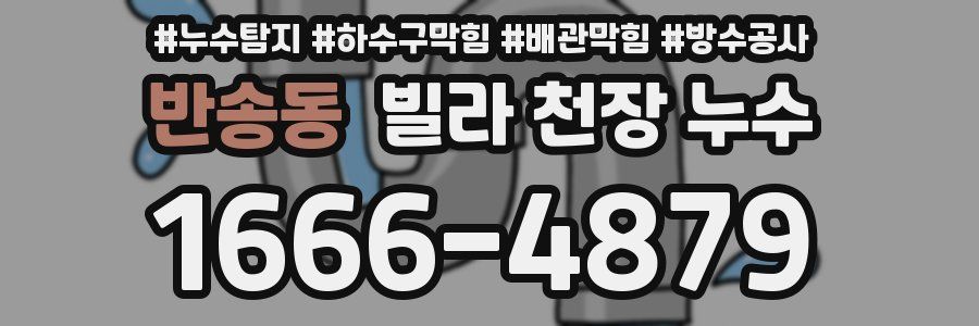 반송동 빌라 천장 누수