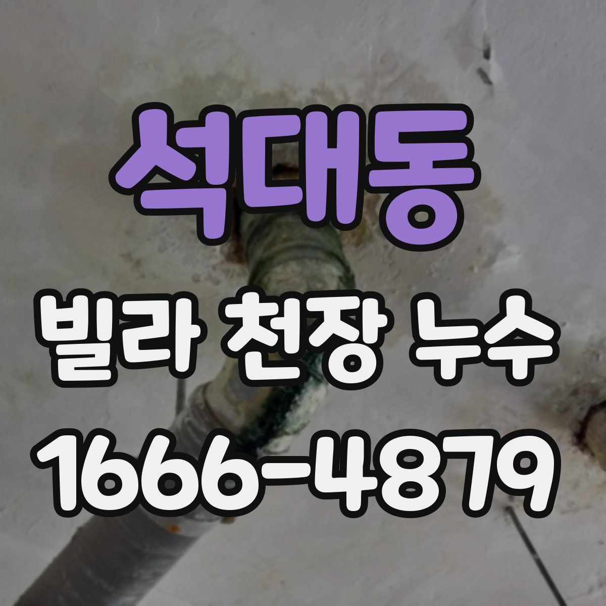 석대동 빌라 천장 누수