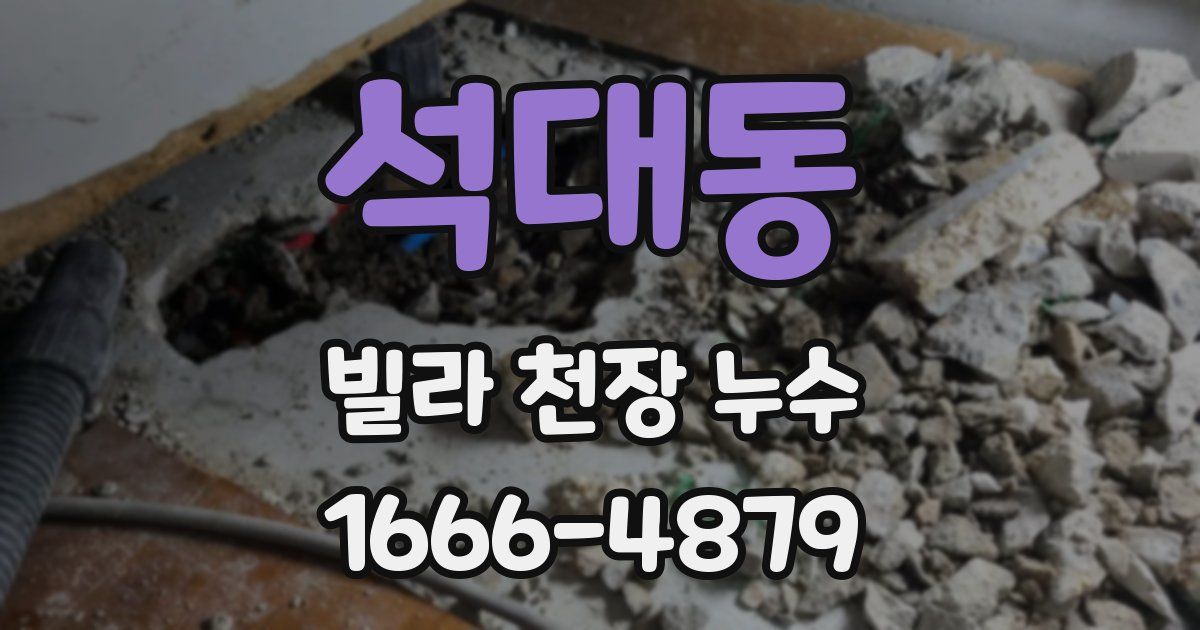 석대동 빌라 천장 누수