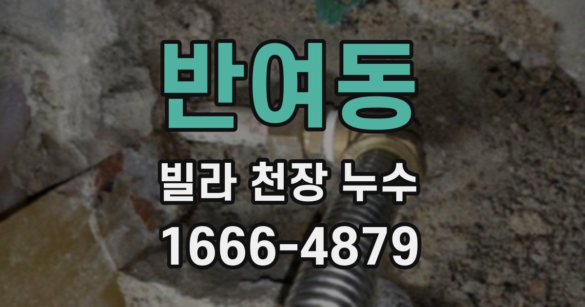 반여동 빌라 천장 누수
