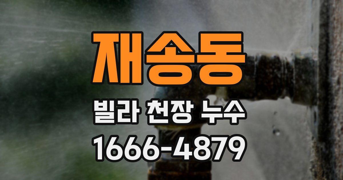 재송동 빌라 천장 누수