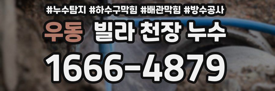 우동 빌라 천장 누수
