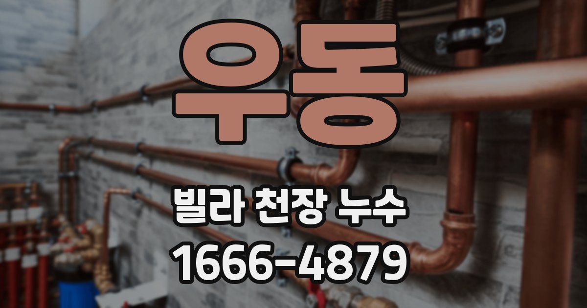 우동 빌라 천장 누수