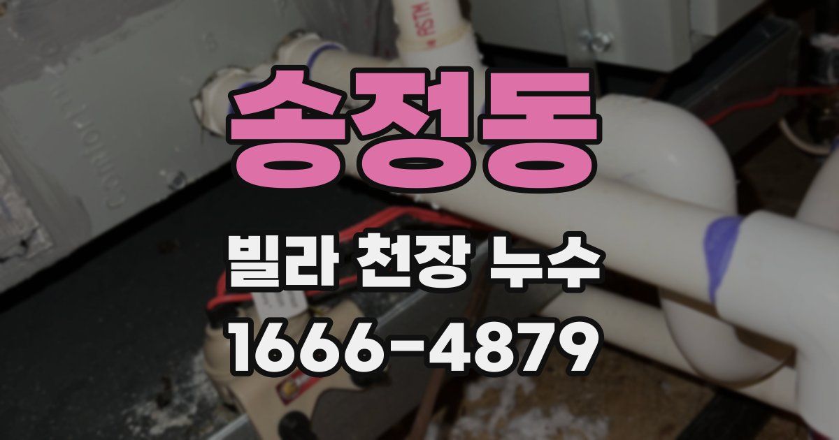 송정동 빌라 천장 누수