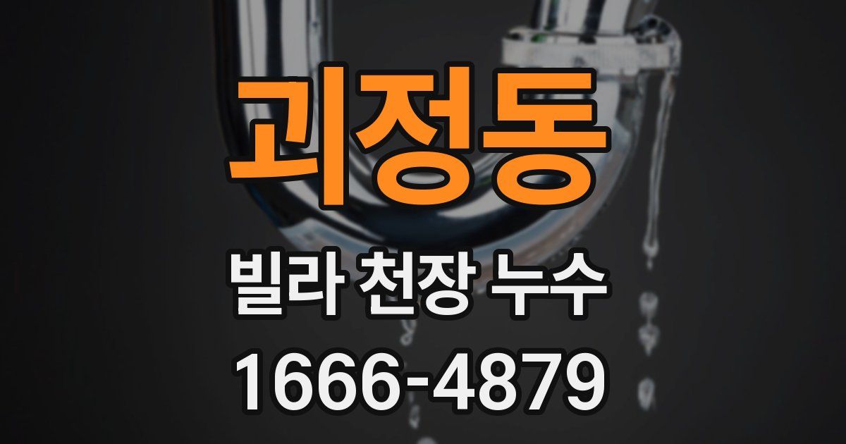 괴정동 빌라 천장 누수