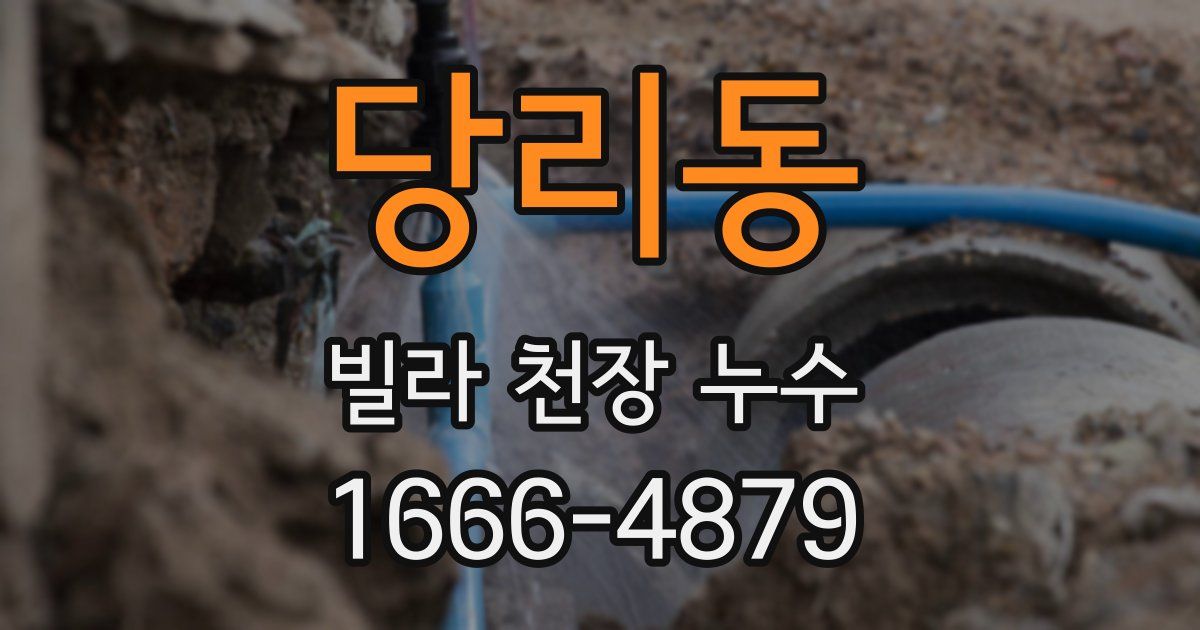 당리동 빌라 천장 누수