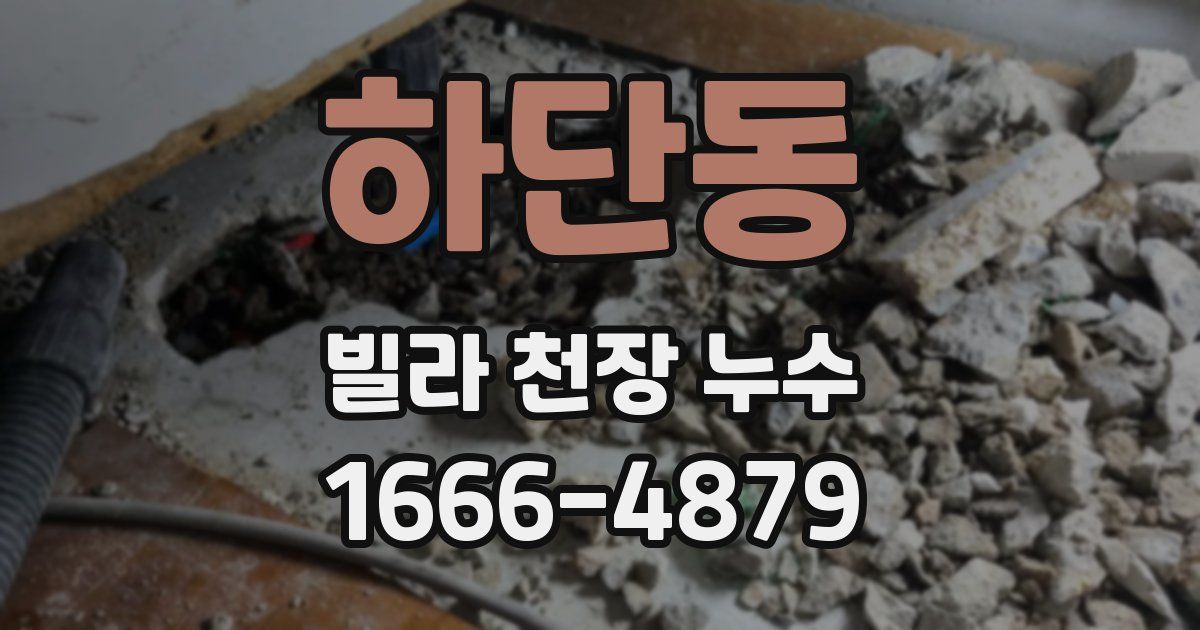 하단동 빌라 천장 누수