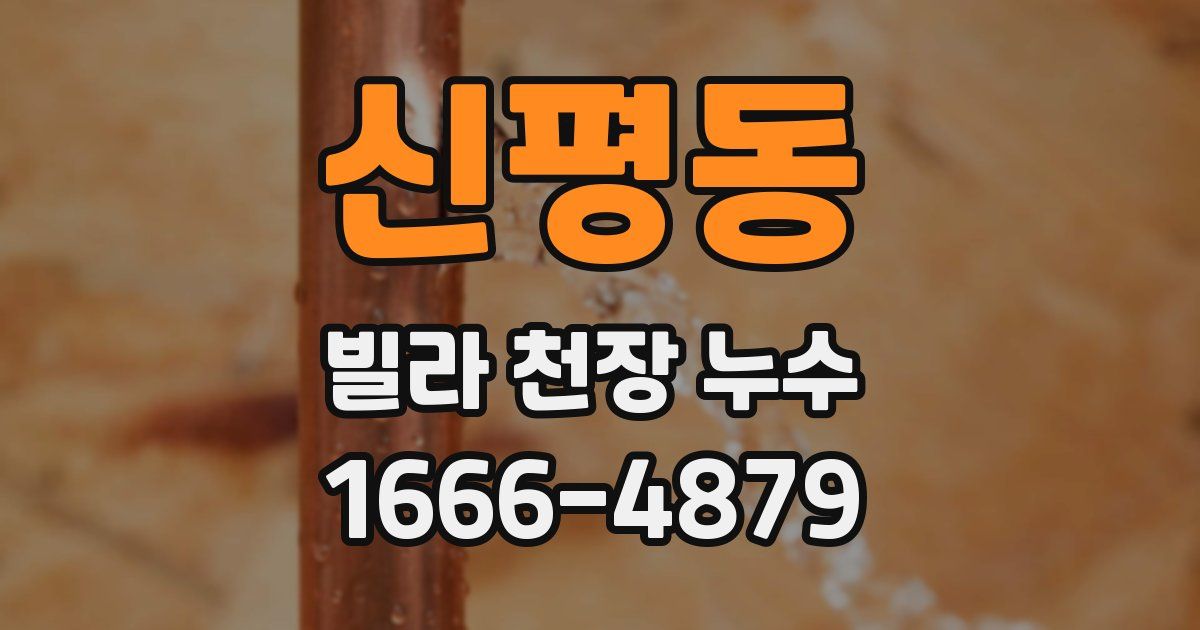 신평동 빌라 천장 누수