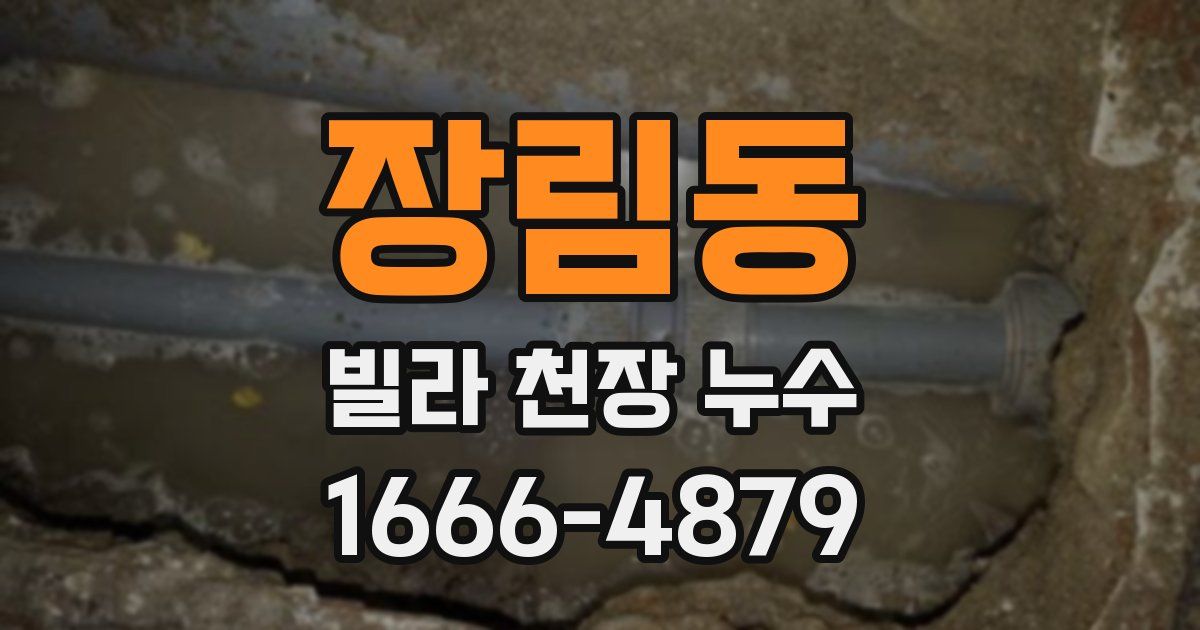 장림동 빌라 천장 누수