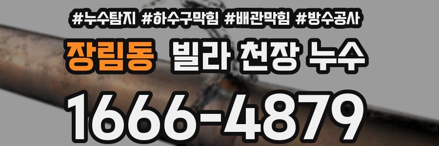 장림동 빌라 천장 누수