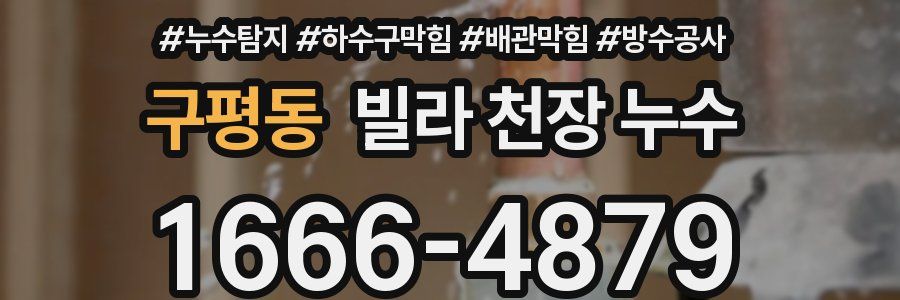구평동 빌라 천장 누수
