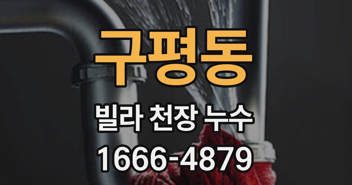 구평동 빌라 천장 누수