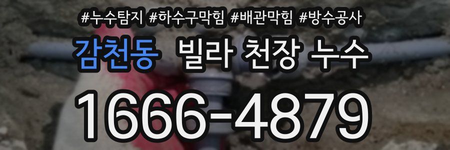 감천동 빌라 천장 누수