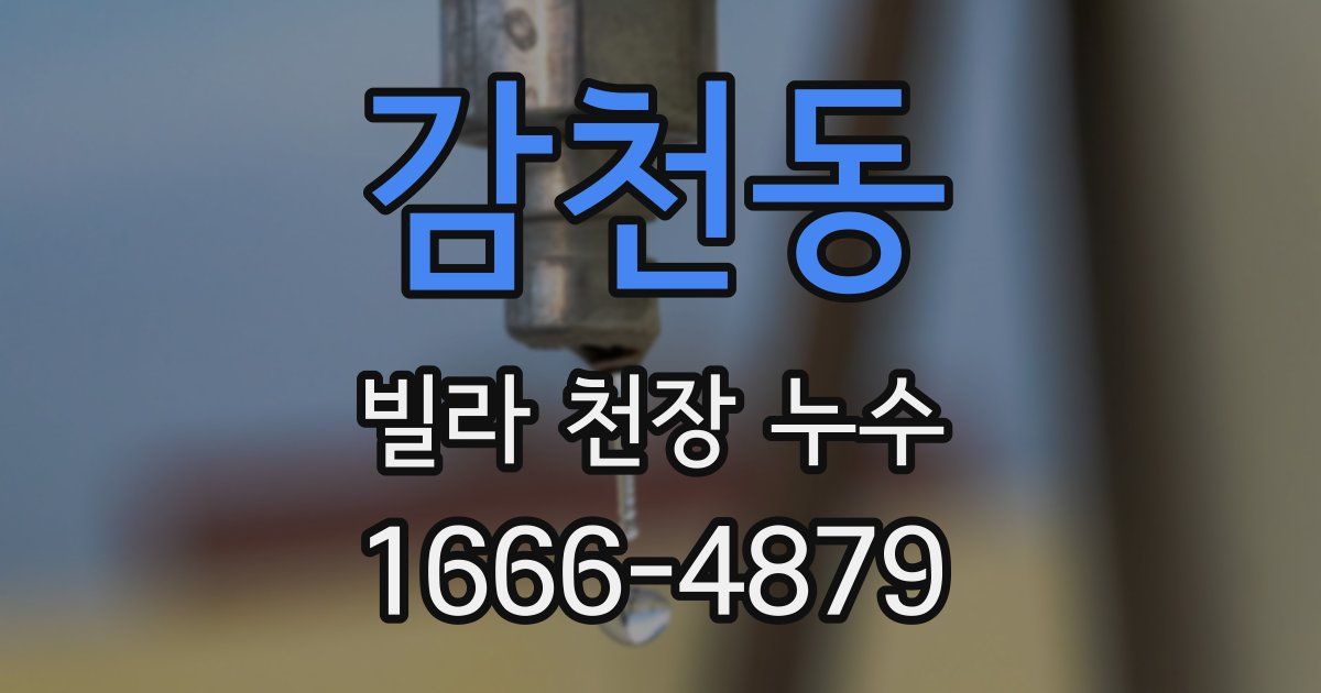 감천동 빌라 천장 누수