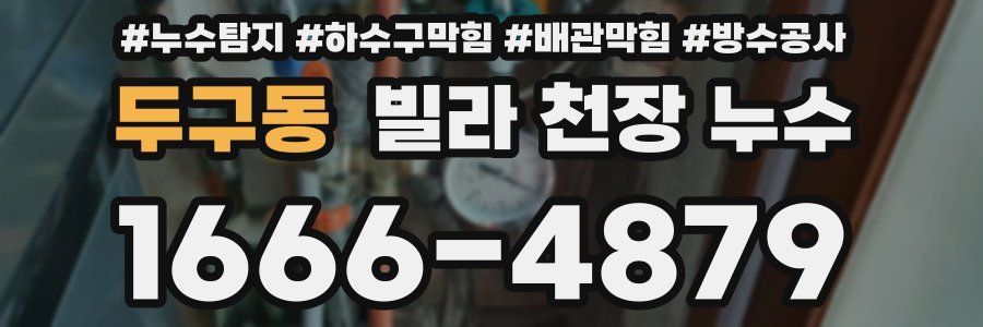 두구동 빌라 천장 누수