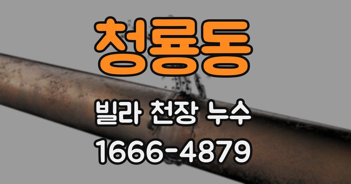 청룡동 빌라 천장 누수