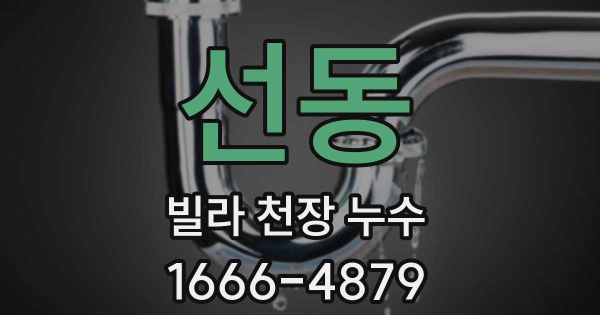 선동 빌라 천장 누수
