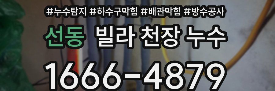 선동 빌라 천장 누수