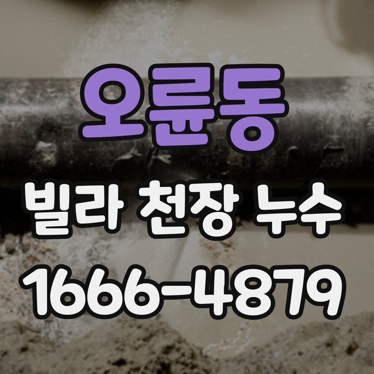 오륜동 빌라 천장 누수