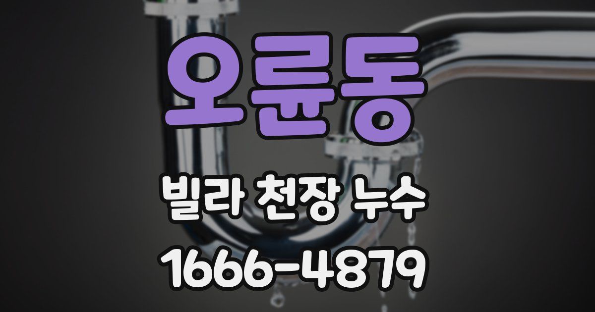 오륜동 빌라 천장 누수