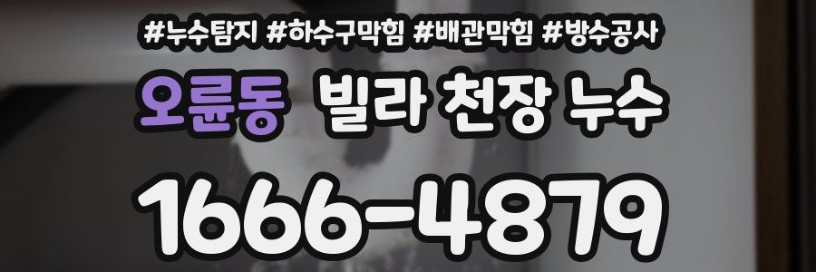 오륜동 빌라 천장 누수