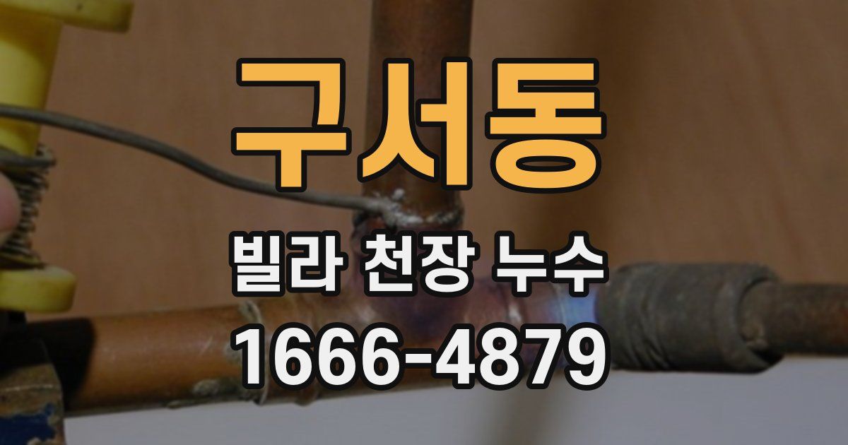 구서동 빌라 천장 누수