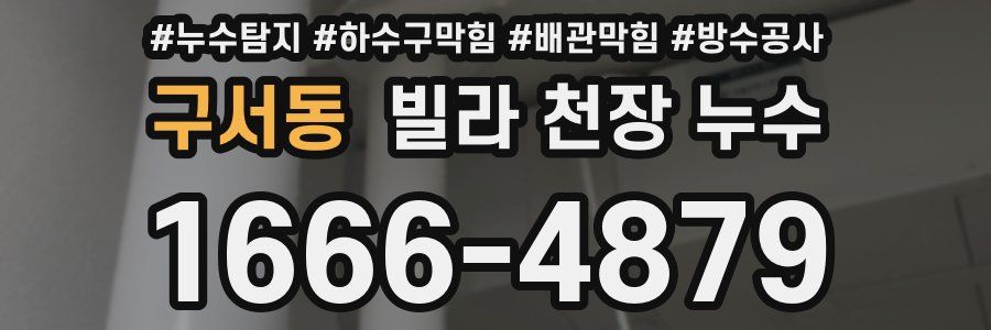 구서동 빌라 천장 누수