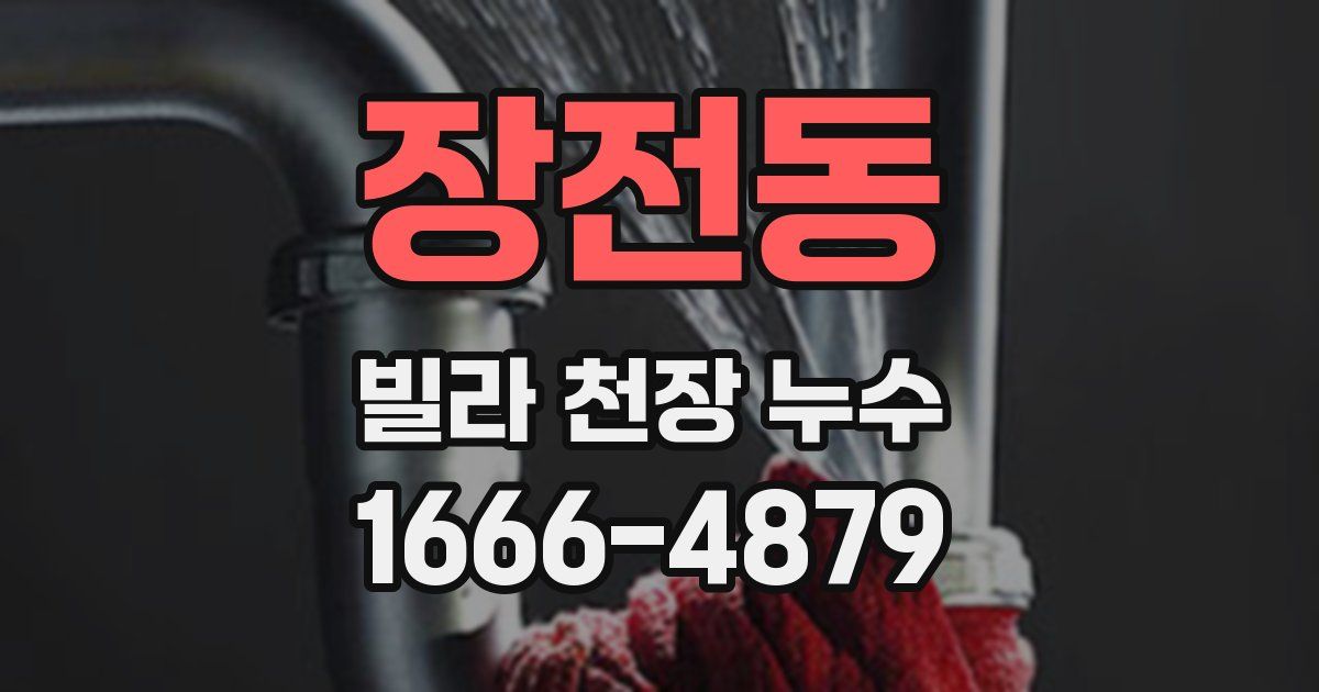 장전동 빌라 천장 누수