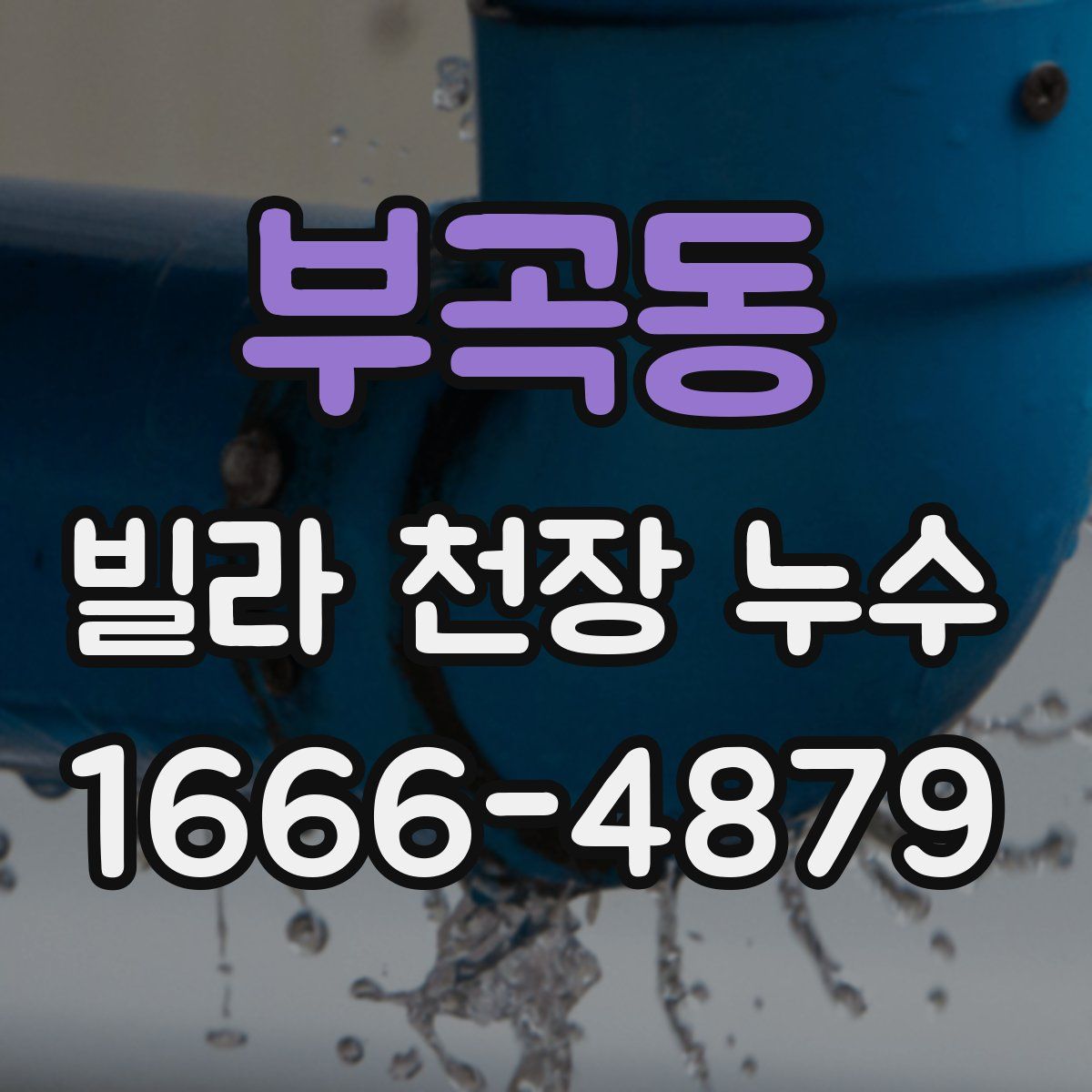 부곡동 빌라 천장 누수