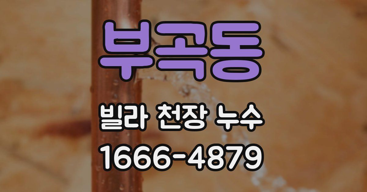 부곡동 빌라 천장 누수