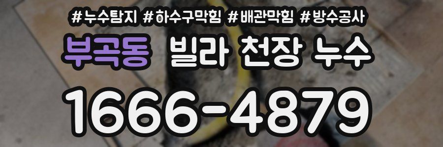 부곡동 빌라 천장 누수