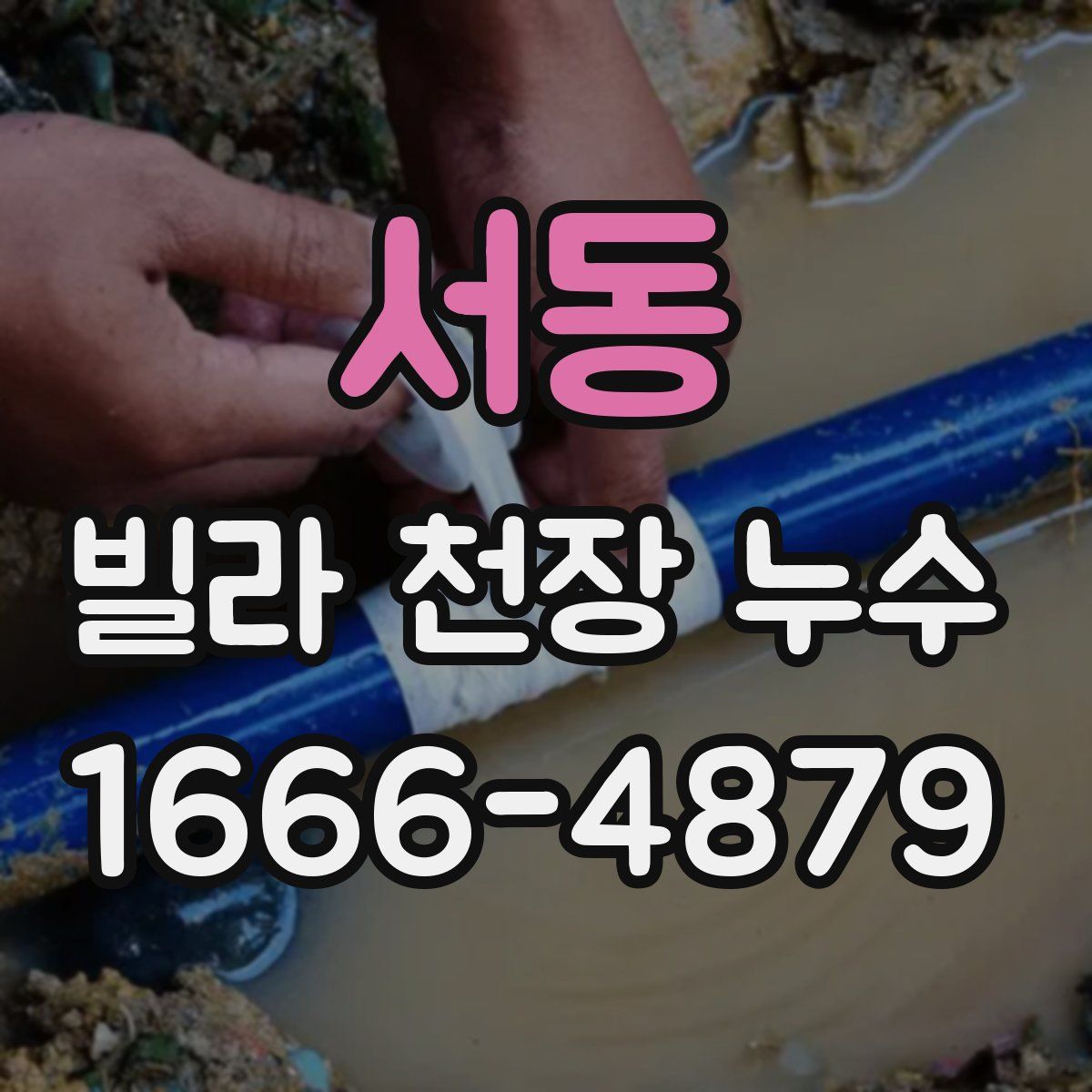 서동 빌라 천장 누수
