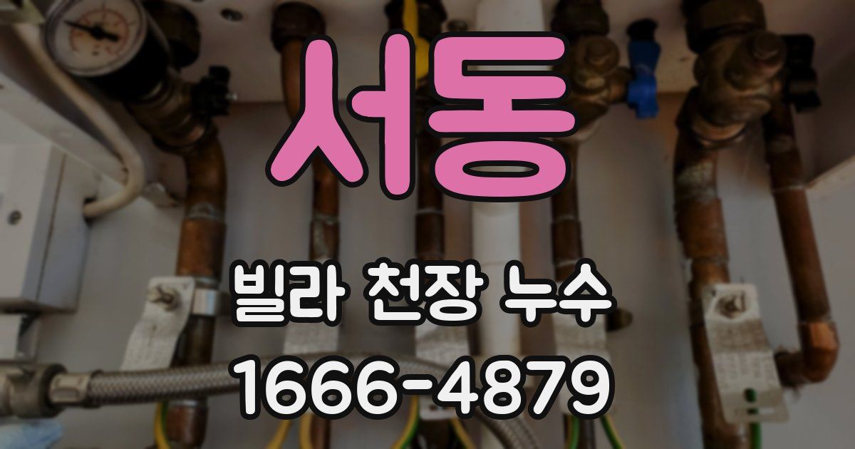 서동 빌라 천장 누수