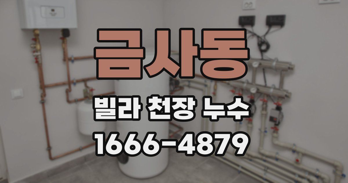 금사동 빌라 천장 누수