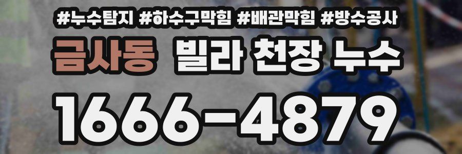 금사동 빌라 천장 누수