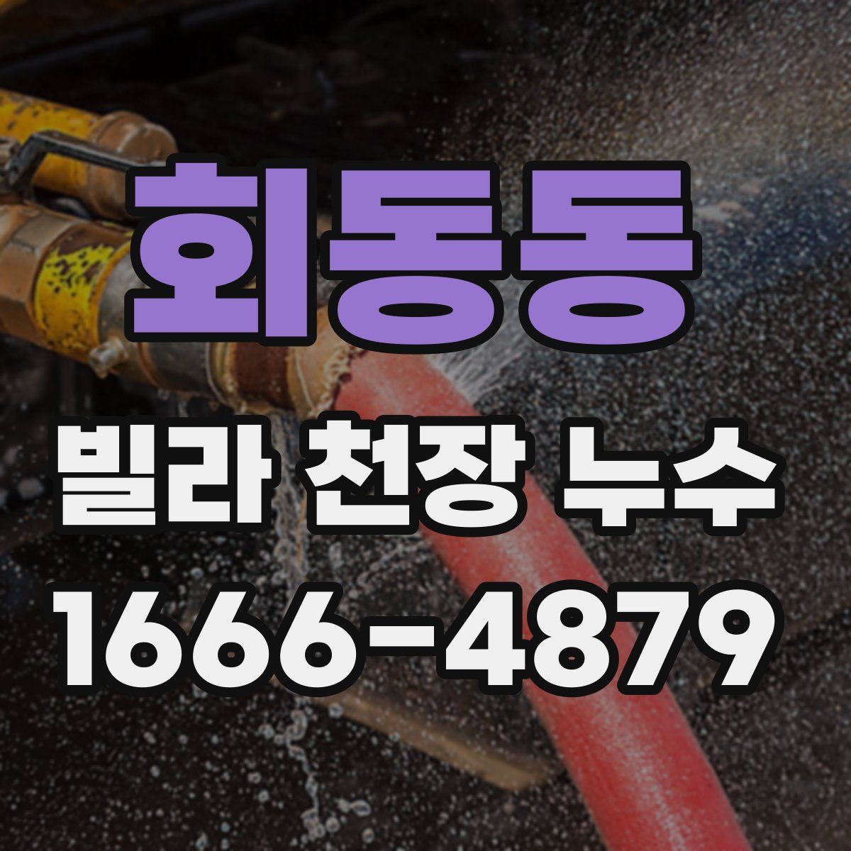 회동동 빌라 천장 누수