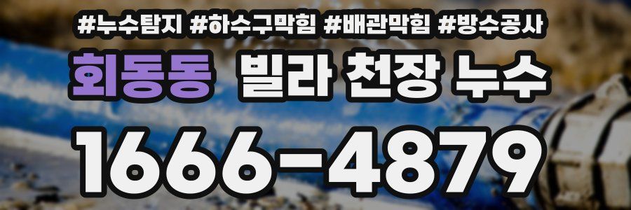 회동동 빌라 천장 누수