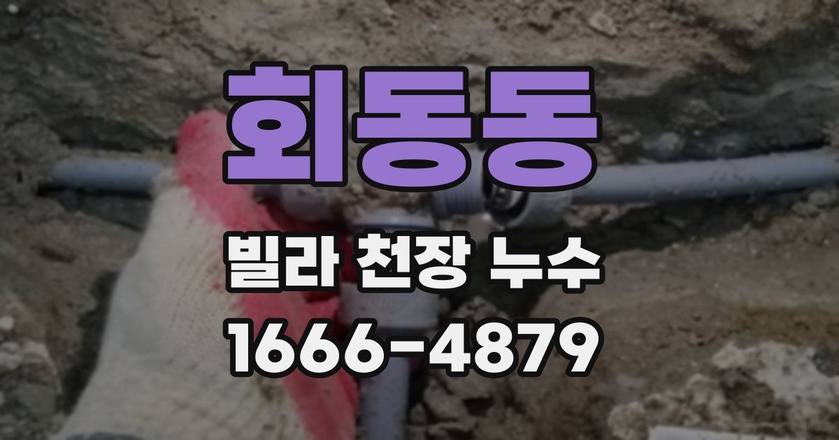 회동동 빌라 천장 누수