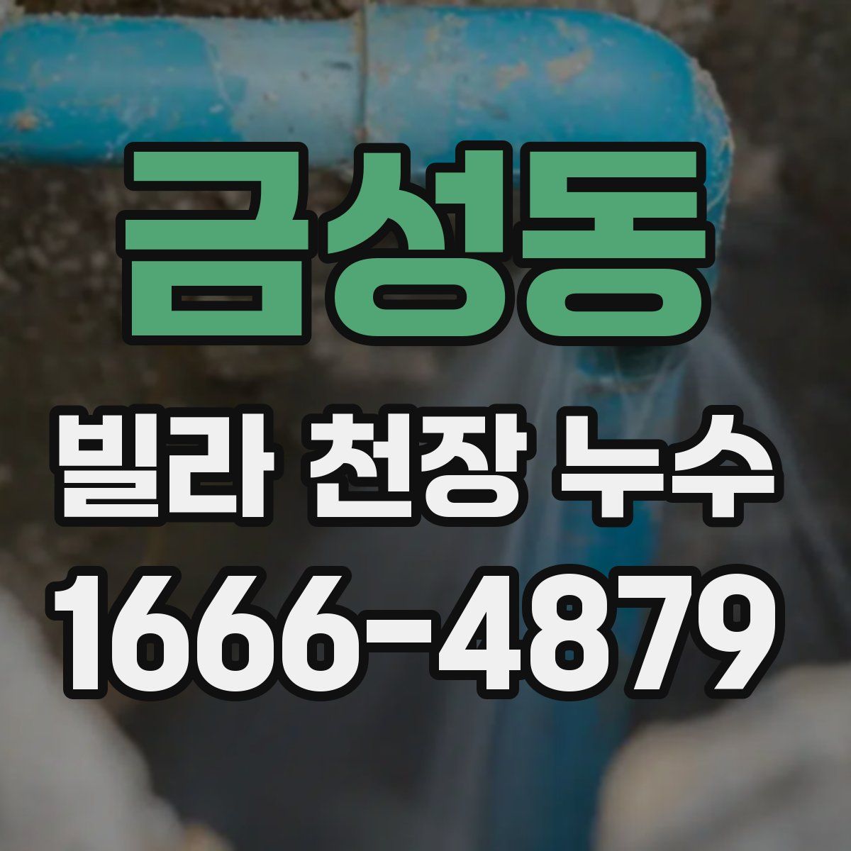 금성동 빌라 천장 누수