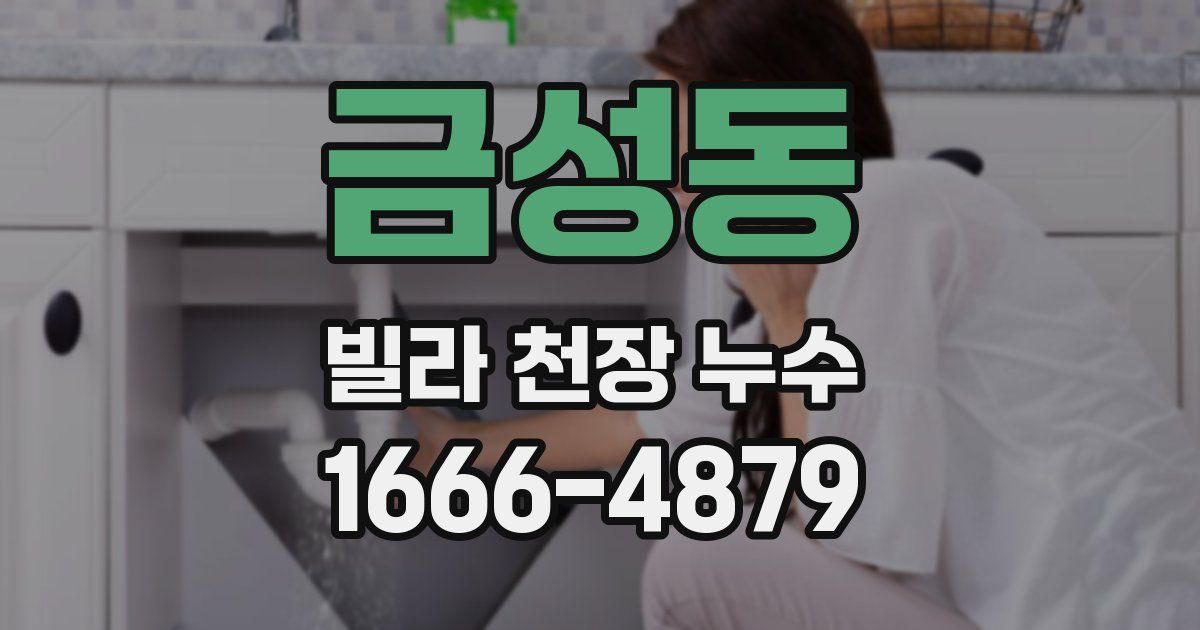 금성동 빌라 천장 누수