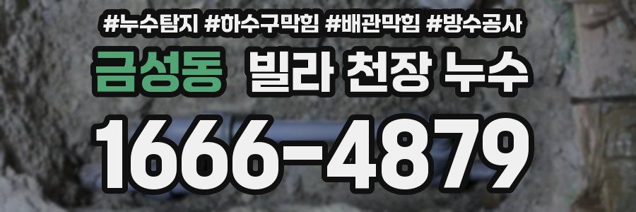금성동 빌라 천장 누수