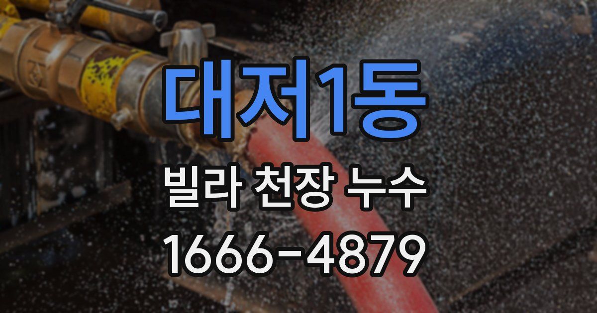 대저1동 빌라 천장 누수