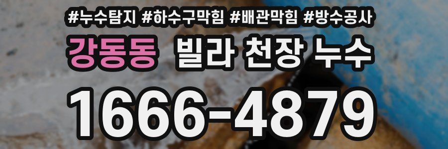강동동 빌라 천장 누수