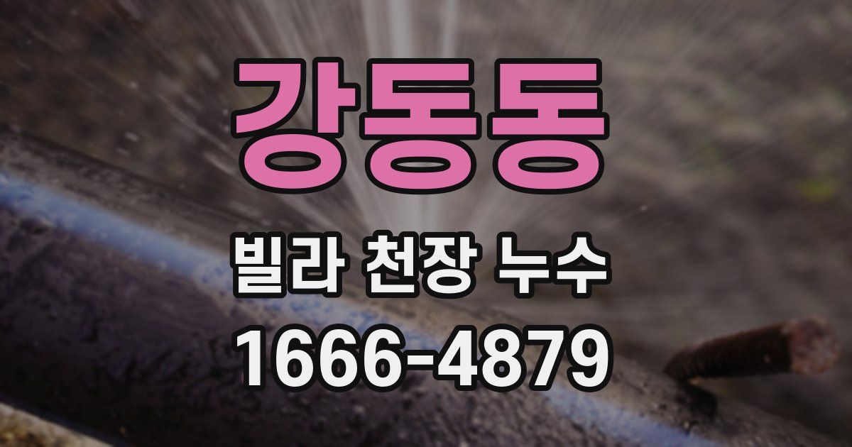강동동 빌라 천장 누수
