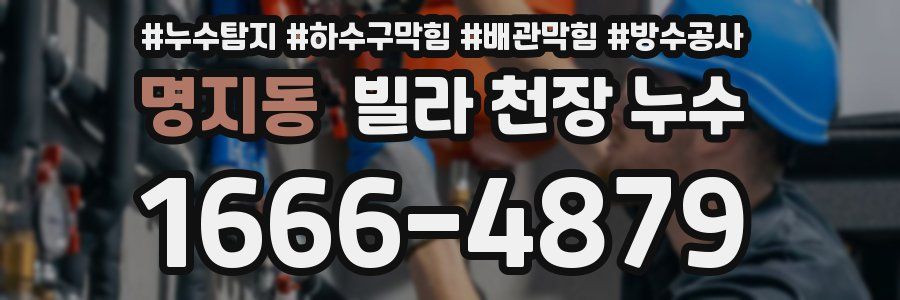명지동 빌라 천장 누수