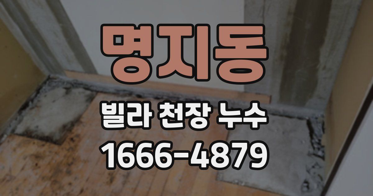 명지동 빌라 천장 누수