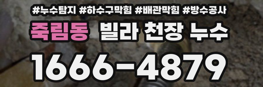죽림동 빌라 천장 누수